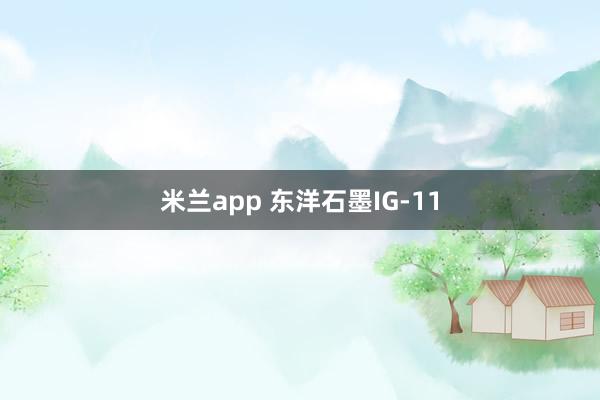 米兰app 东洋石墨IG-11