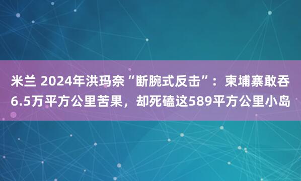米兰 2024年洪玛奈“断腕式反击”:柬埔寨敢吞6.5万平方公里苦果,却死磕这589平方公里小岛