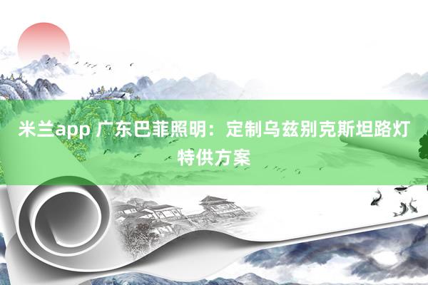 米兰app 广东巴菲照明:定制乌兹别克斯坦路灯特供方案